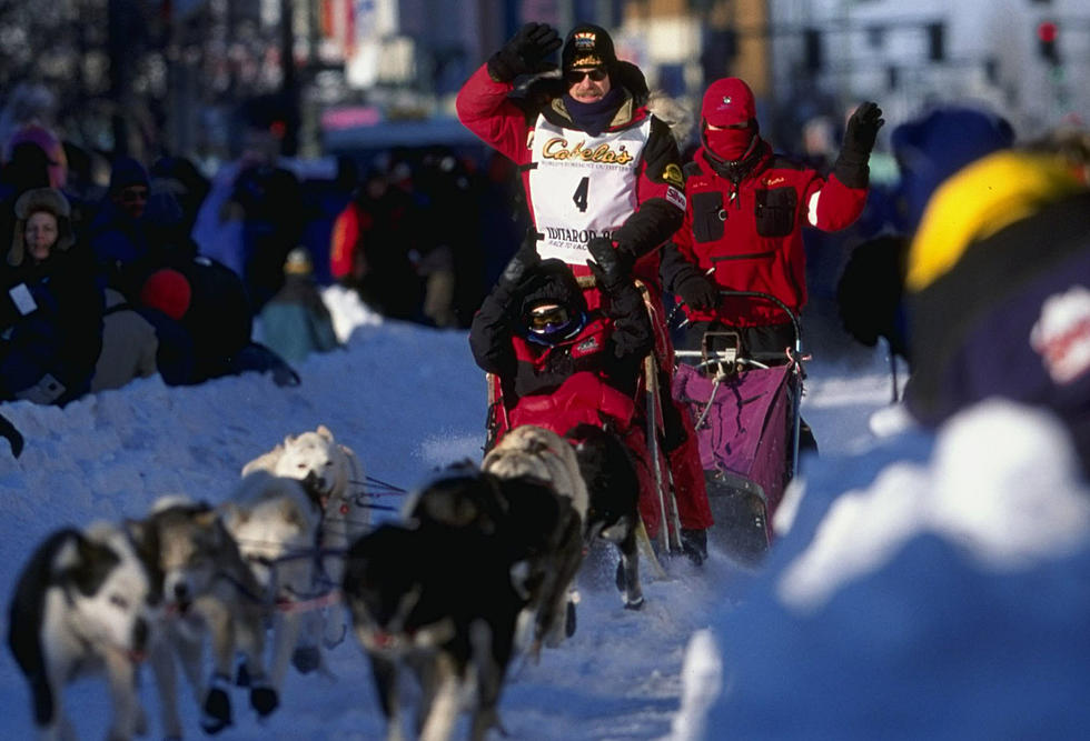 Tell Me How the Iditarod is a Sport [VIDEO]