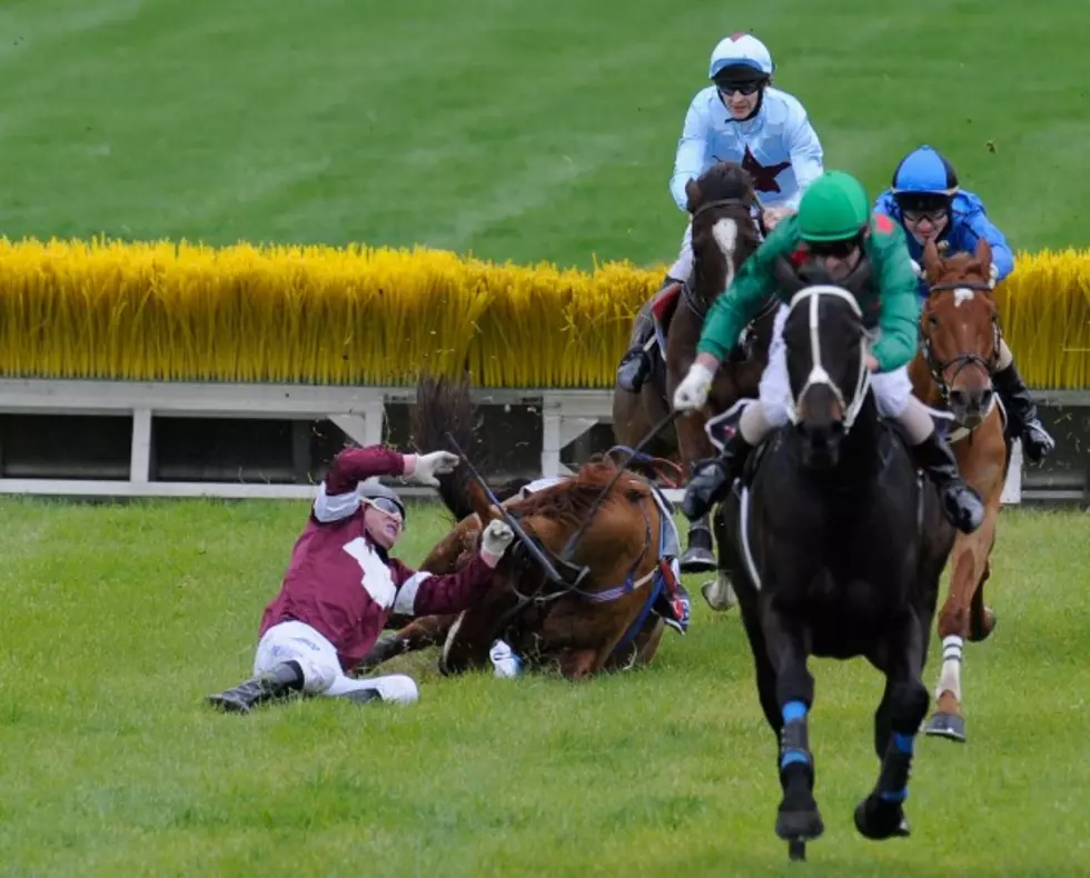 I’ve Said it Before and I’ll Say it Again: Horseracing = Animal Abuse