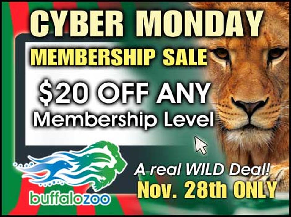 Cyber Monday Is The Time To Get A Huge Deal At The Buffalo Zoo!