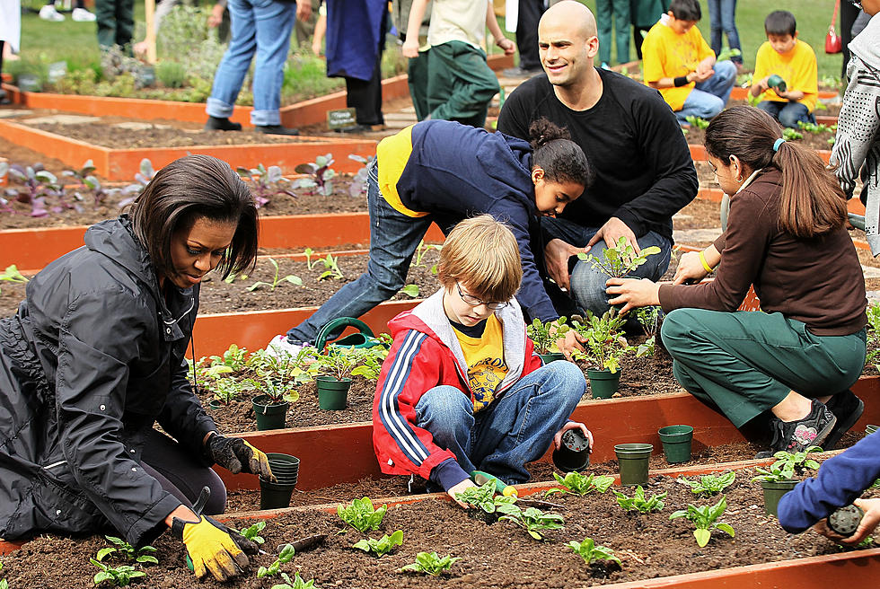Community: Get the Details to Apply for the Green Jobs for Youth Grant