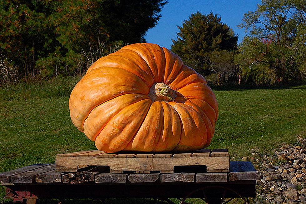 This Pumpkin Just Broke The State Record