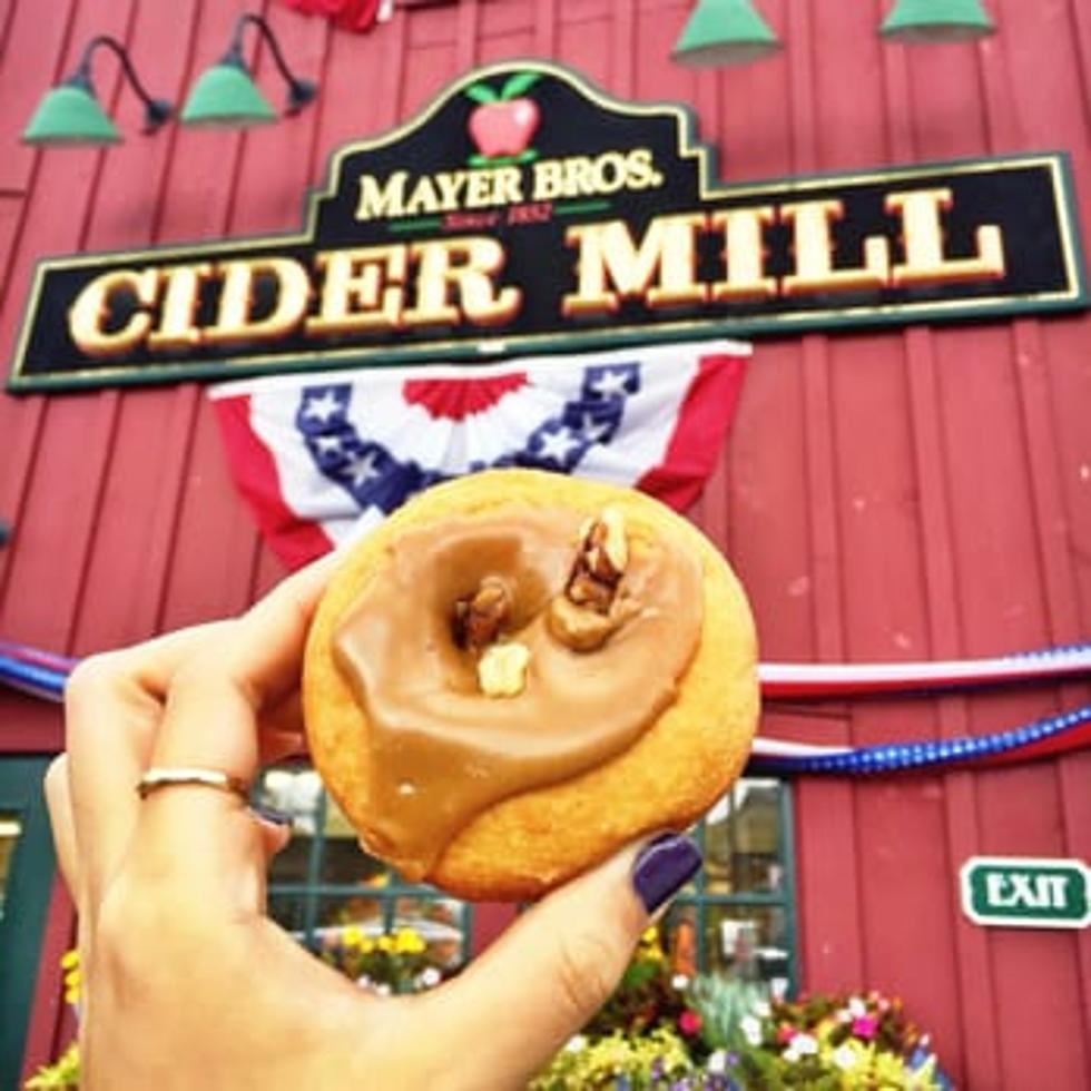 2017 Best Places For Cider + Donuts in WNY