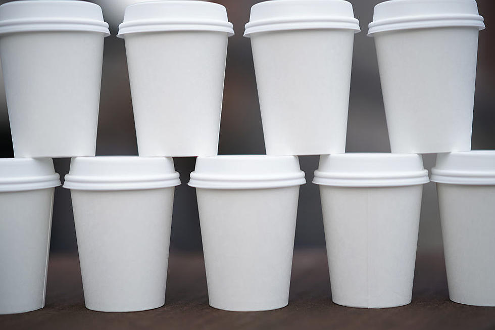 Worst Lids for Coffee Cups In Western New York