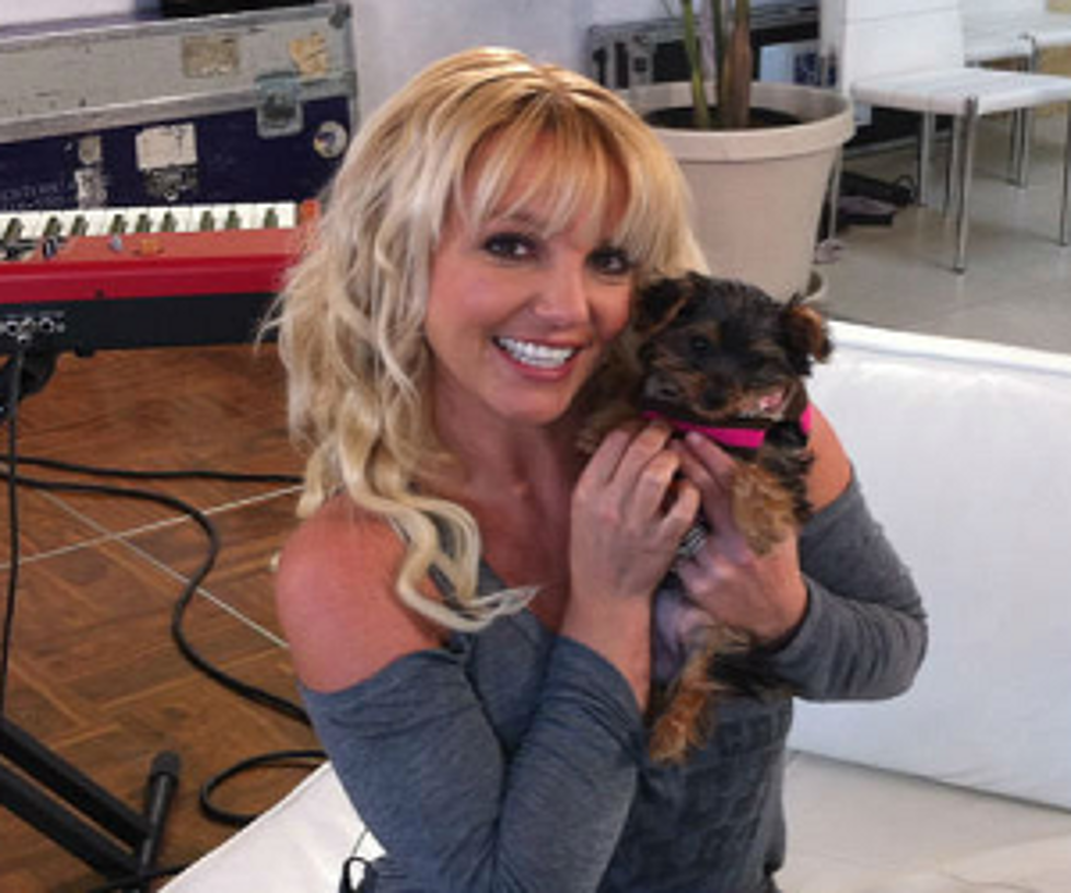 Britney Spears Uses Dog’s Twitter Account to Hint at Las Vegas Deal Announcement