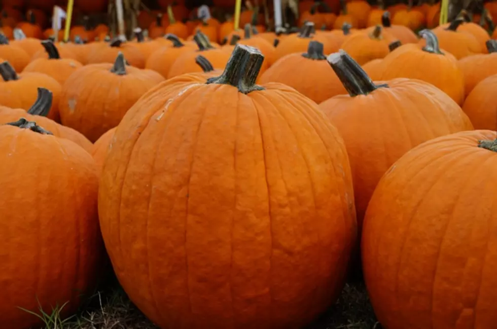 Halloween Pumpkins – Great Place to Buy in Texarkana