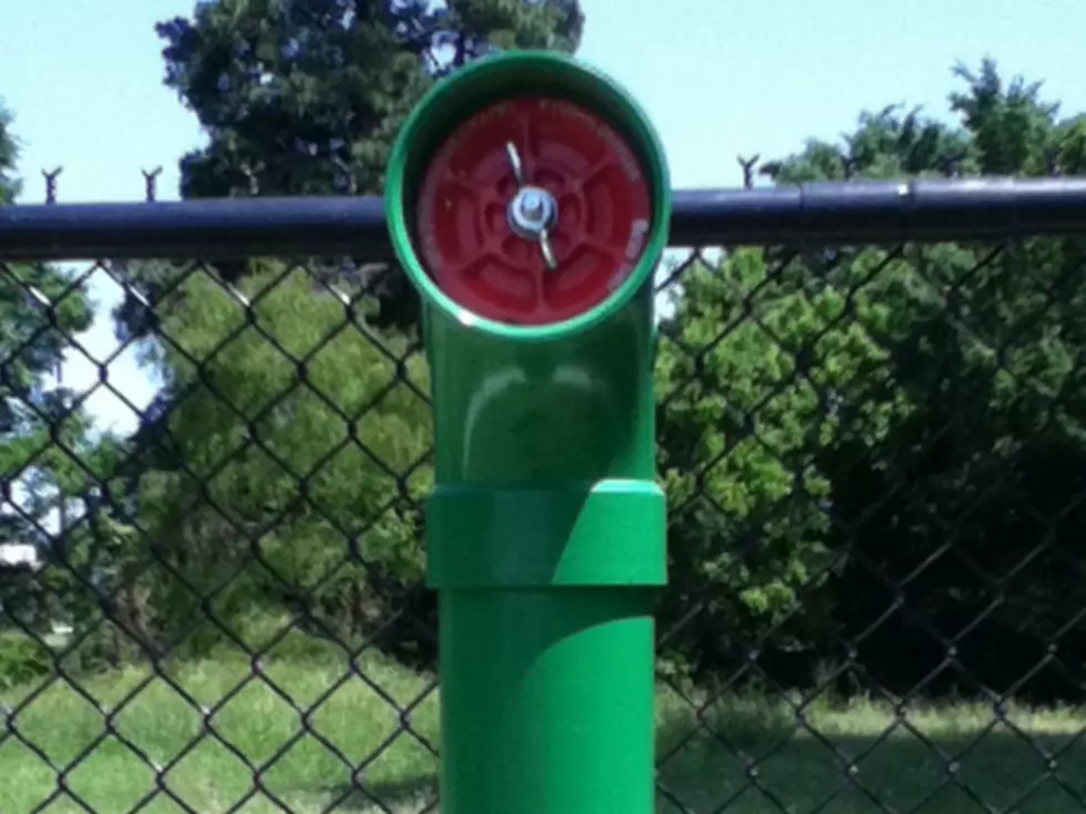 What is This &#8216;Green Thing&#8217; at the Jeffurson Dog Park?