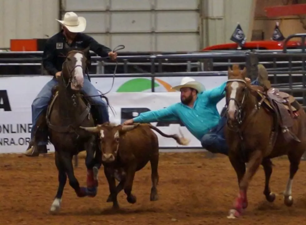 Steer Wrestling Action From the Four States Fair &#038; Rodeo [VIDEOS]