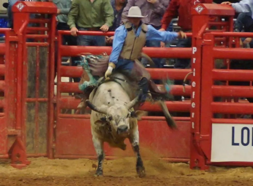 Xtreme Bull Riding at the Four States Fair & Rodeo