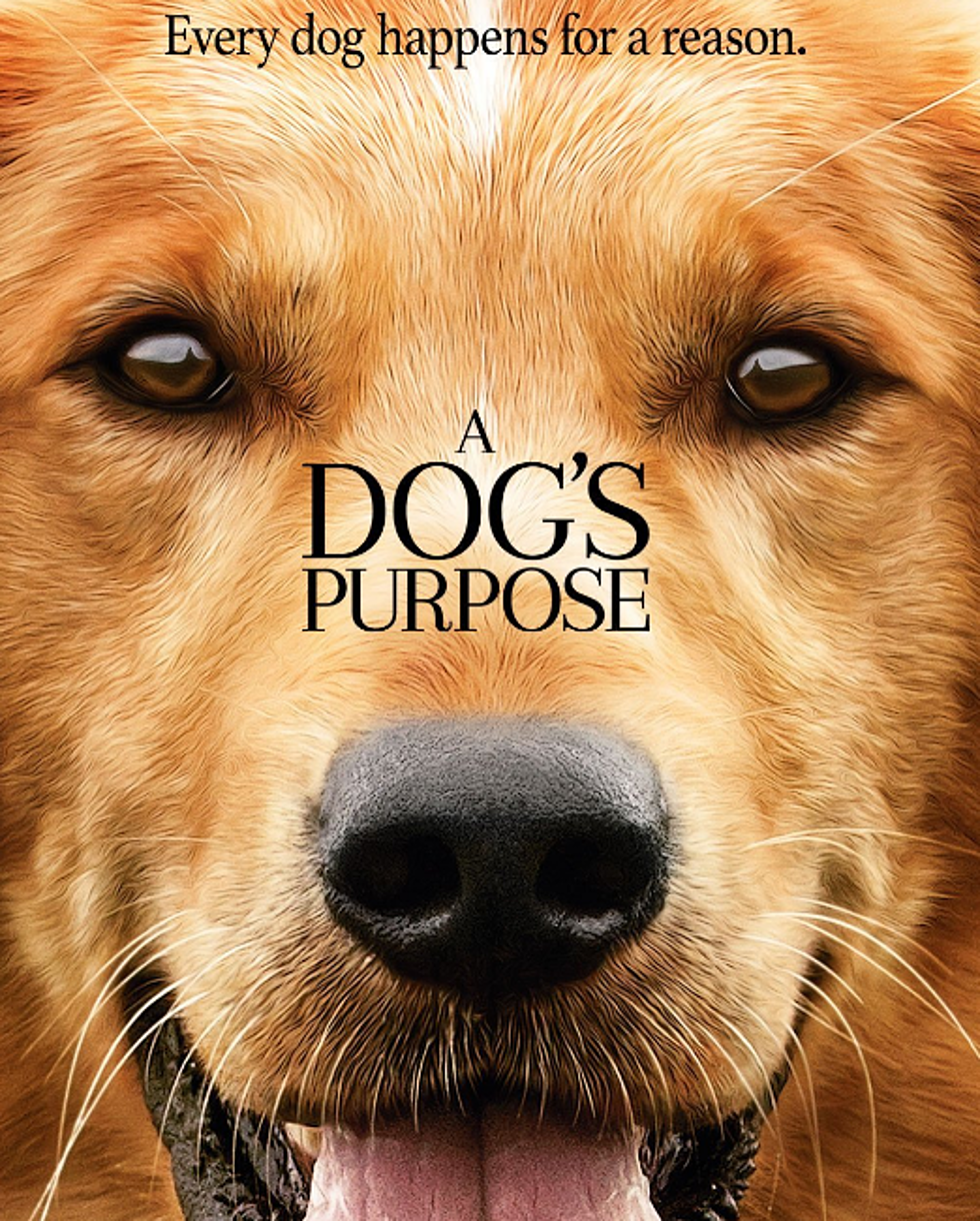 Mimi’s Review of the Movie ‘A Dog’s Purpose’ — No Spoilers Here [OPINION]