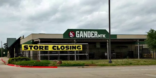 What Should Go In The Old Gander Mountain?