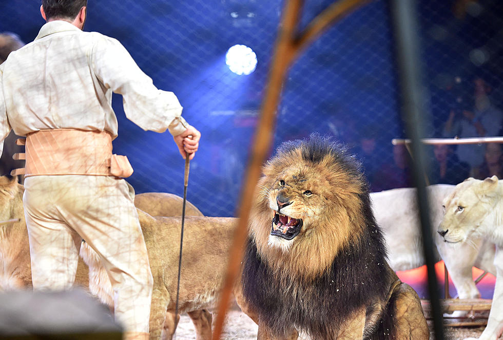 You Have 4 Days Left To Win Tickets For The  Jordan World Circus
