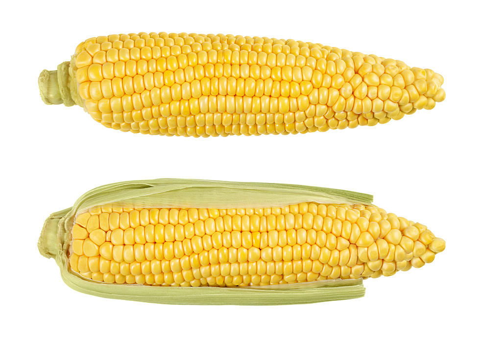 Harvest Texarkana Needs Your Help Picking Corn
