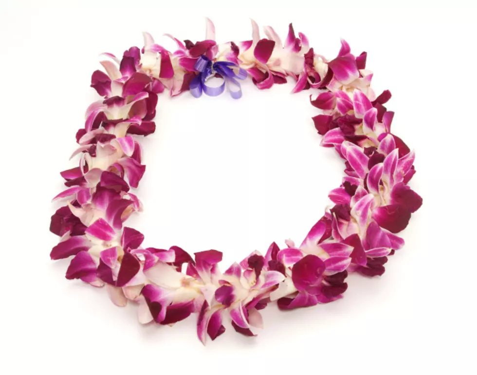 Boredom Busters Presents 'Flower Leis & Hula Lesson' Saturday