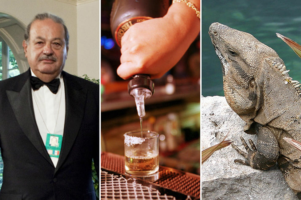 10 Surprisingly Fun Facts About Mexico to Help Get Ready for Cinco de Mayo
