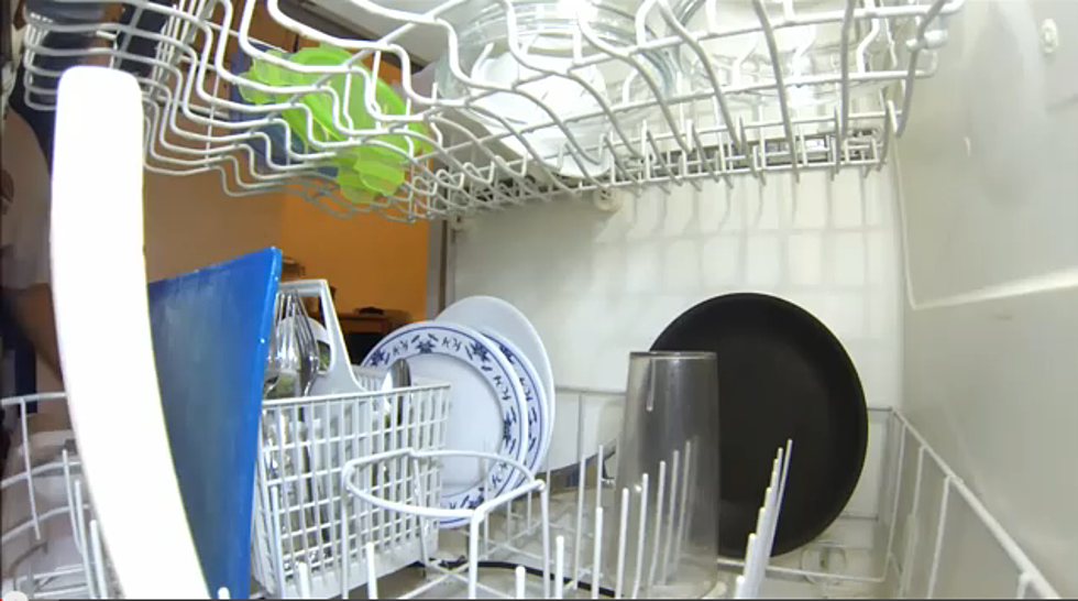 Watch a Dishwasher in Action From the Inside! [VIDEO]