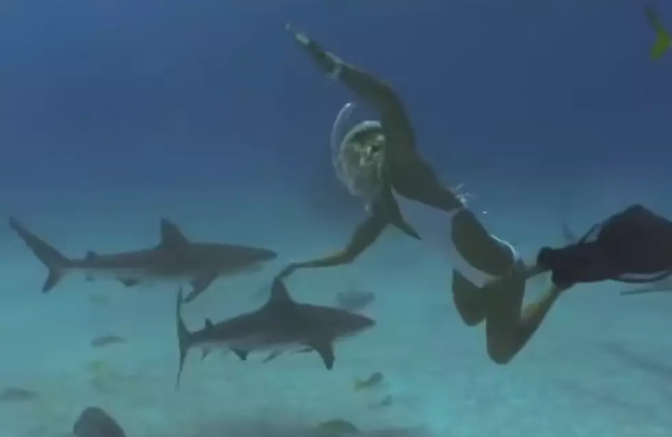 Karina Petroni Swimming with Caribbean Reef Sharks [VIDEO]