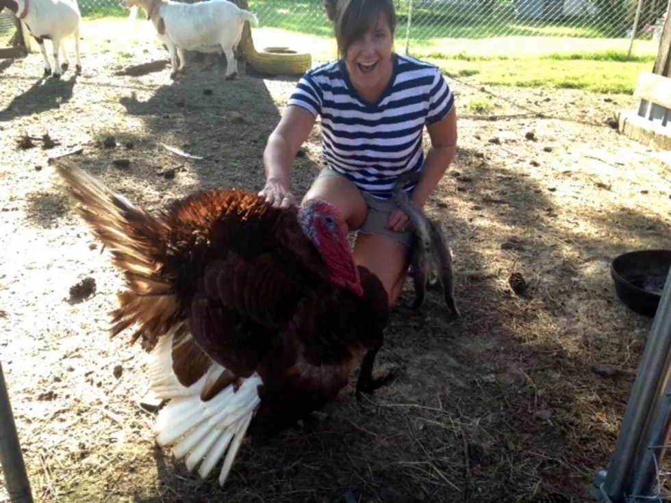 Have You Met Trey The Turkey in Texarkana?