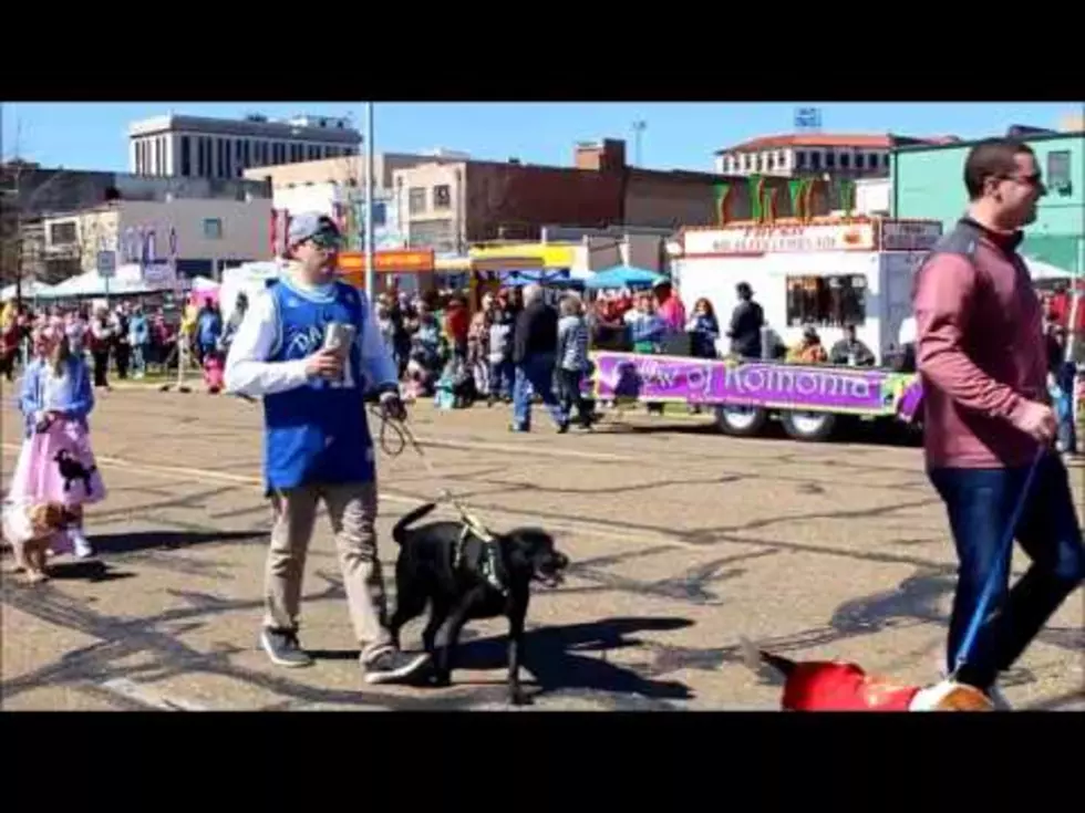Mardi Gras Texarkana Pet Parade [VIDEO]
