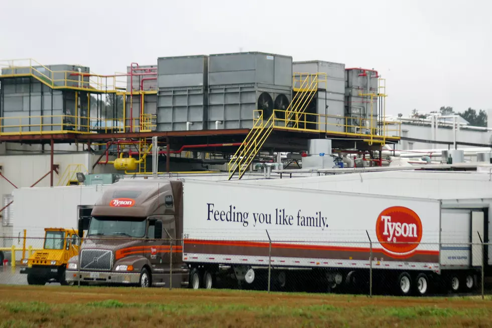 Tyson Foods In Hope To Spend $70M For New Triple-Sized Hatchery
