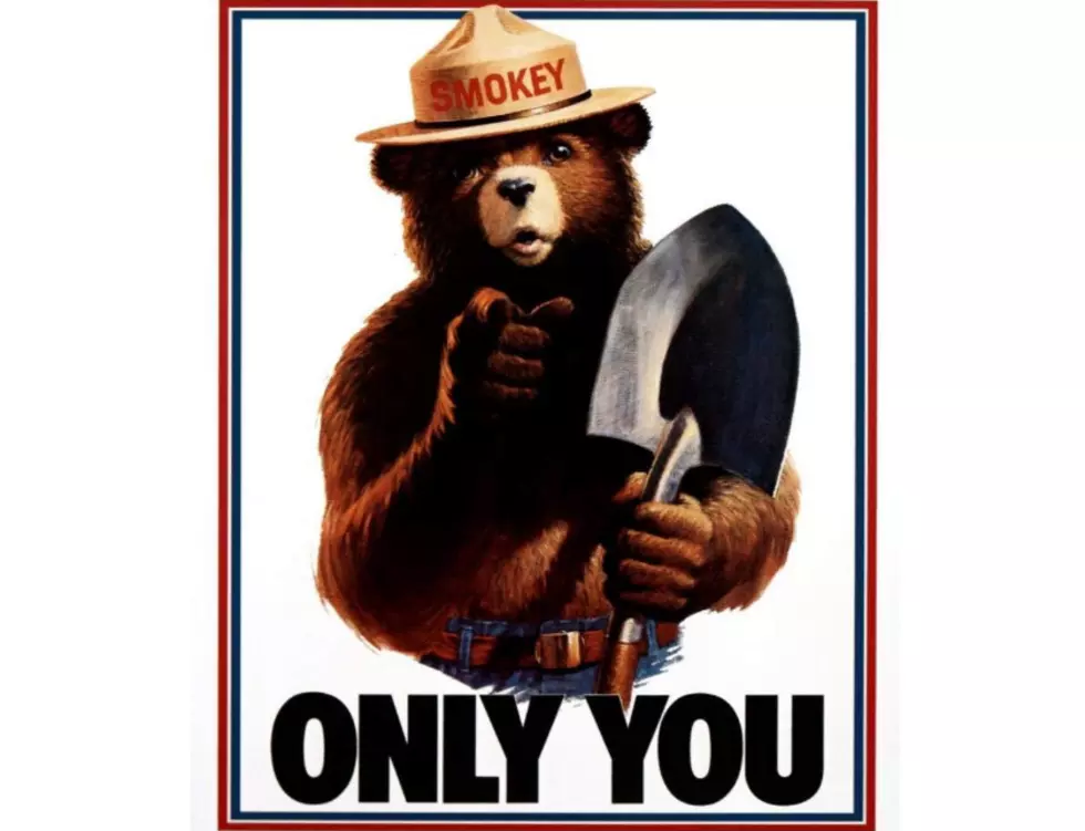 Arkansas Schools Have a Chance to Win a Party With Smokey Bear