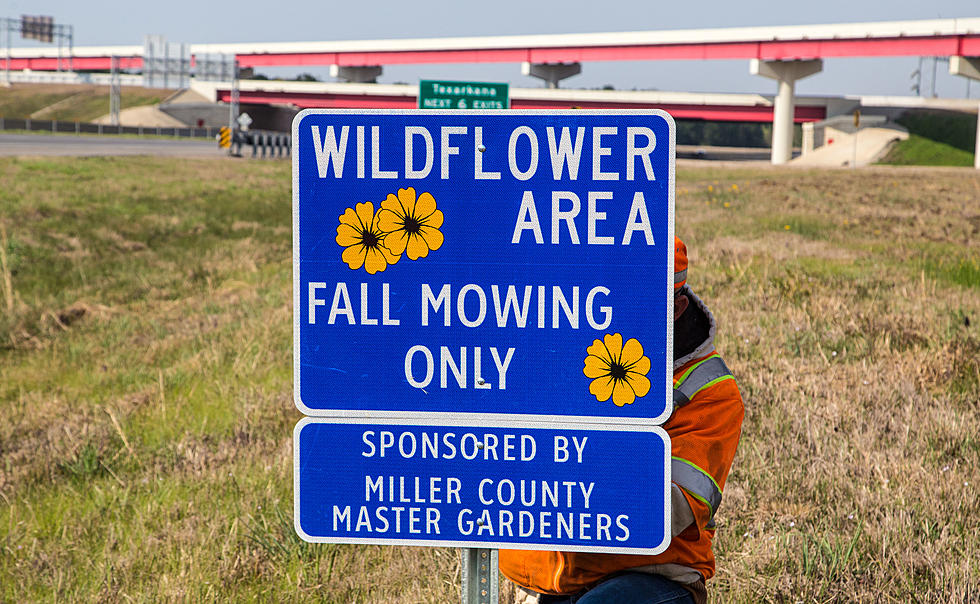 “Project Wildflower” to Beautify Roadways of Arkansas