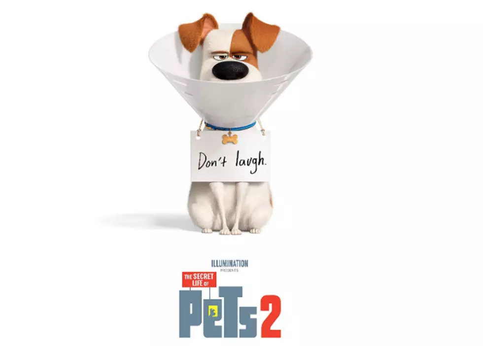 Movies in The Park 'Secret Life of Pets 2' This Thursday