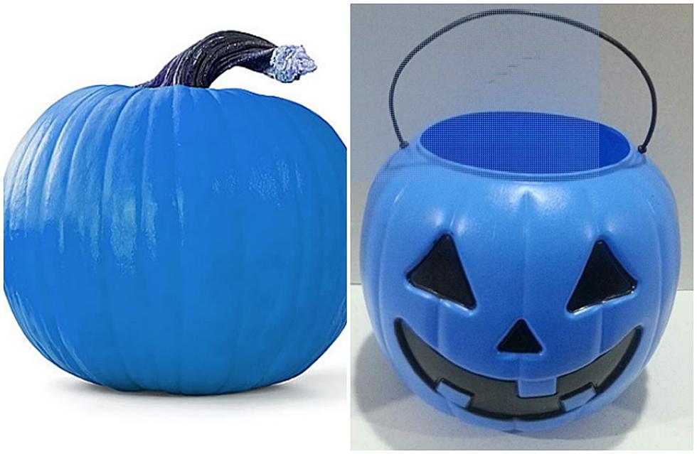 Blue Pumpkins Vs. Blue Pumpkin Buckets – What Does it All Mean?