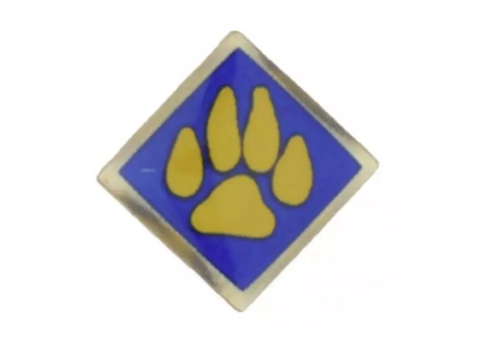 Recall: Cub Scout Pins Due to Violation of Federal Lead Content Ban