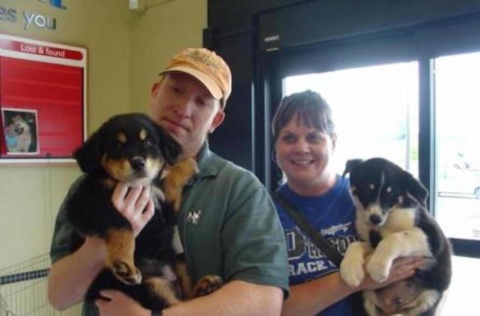 Pet Adoptions at Petsmart on Saturday &#8212; Little Dogs and Big Dogs, Puppies and Kittens too