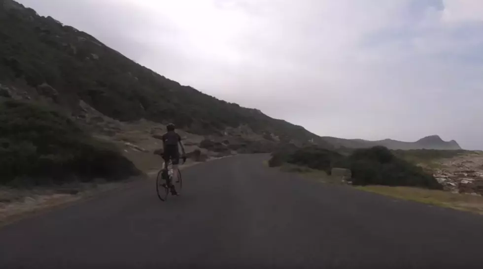 Wild Ride On The Cape Of Good Hope