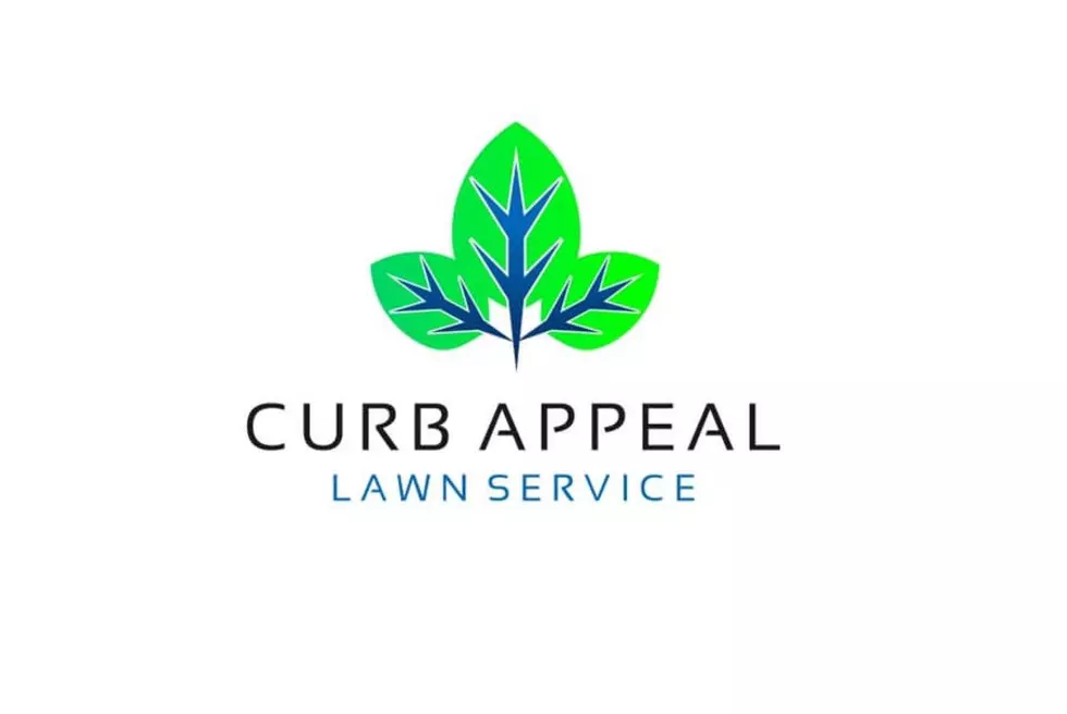Week 8 Local Black-Owned Business Spotlight: Curb Appeal Lawn Service