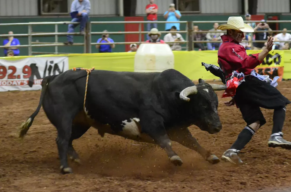 Extreme Rodeo Bullfight Tour in Pictures