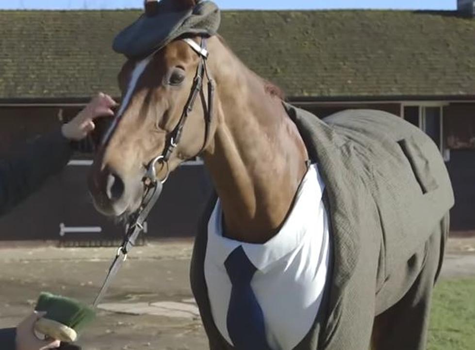 World’s Classiest Racehorse Has Custom-Made Three Piece Suit [VIDEO]