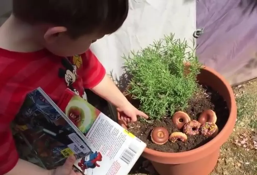 Parents April Fool Kids Into Thinking They Grew Doughnuts [VIDEO]