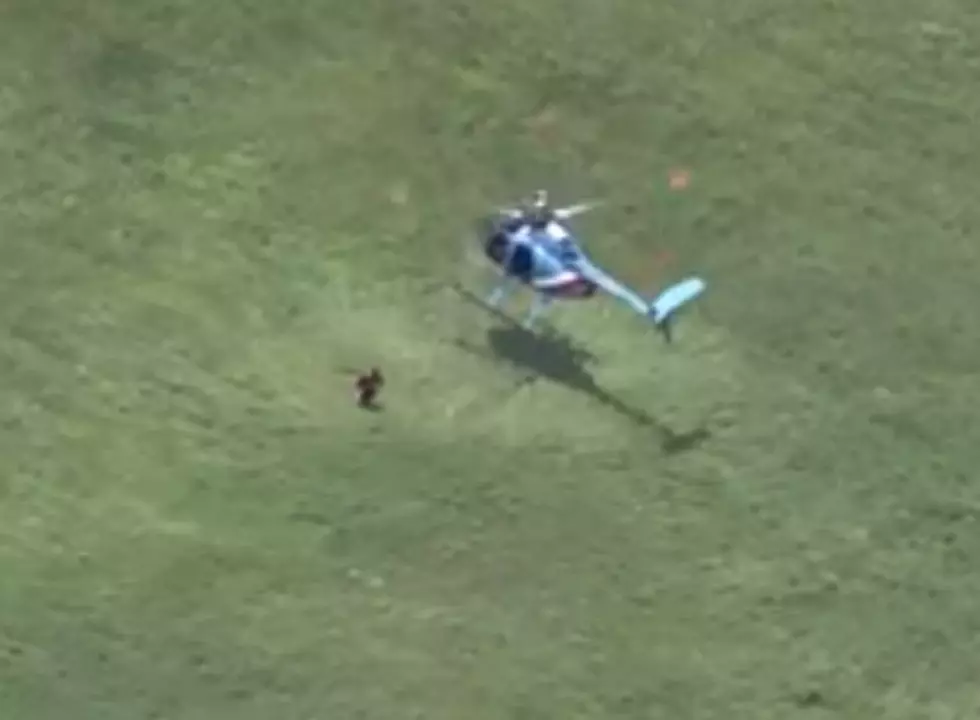 Officer Jumps Out of Helicopter to Catch Suspect After Wild Texas Car Chase [VIDEO]