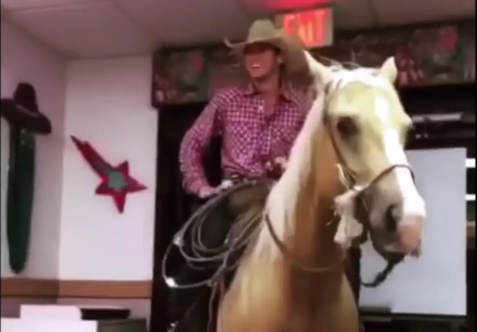A Horse in a Texas Taco Bell?