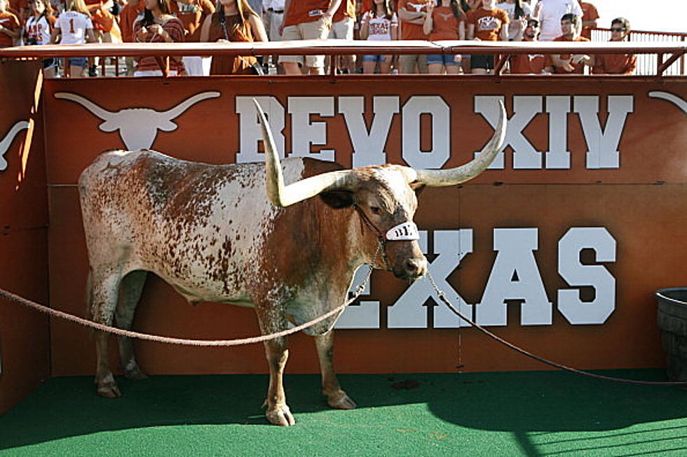 PETA Calls For an End to Animal Mascots After Bevo/Uga 'Incident'