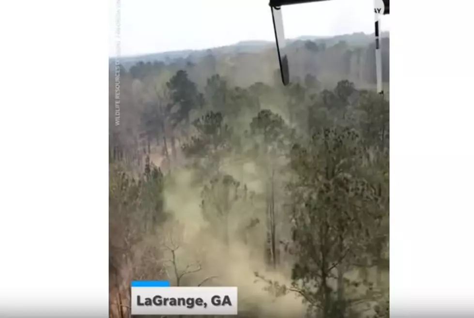 Helicopter Flyover Stirs Up Massive Clouds of Pollen In Georgia