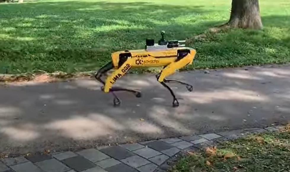 Robot Dog Patrolling Park in Singapore