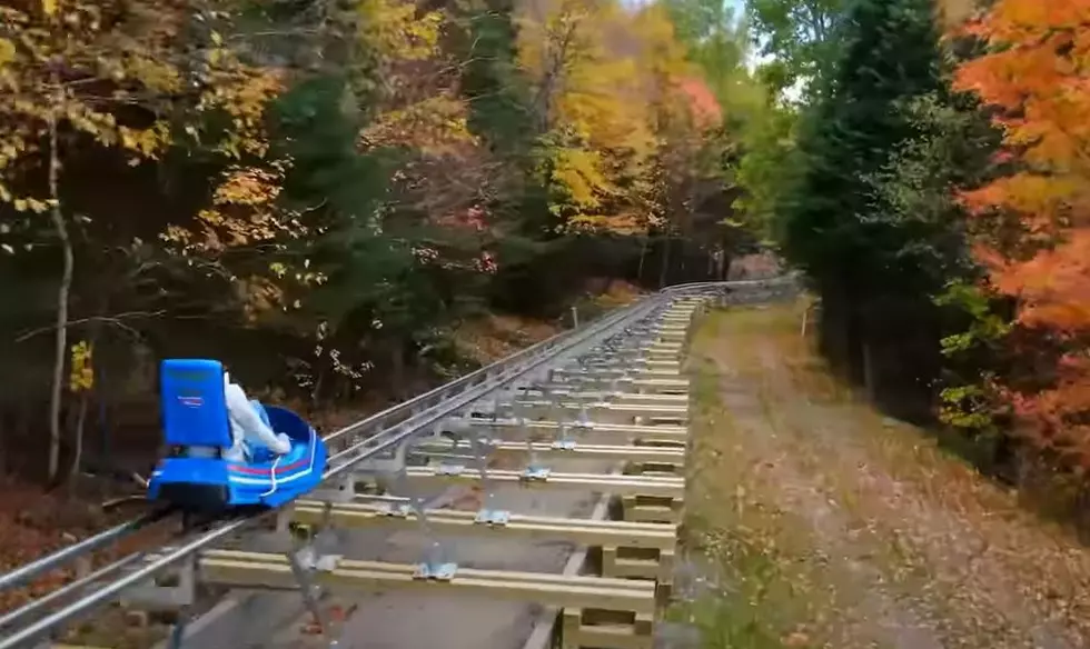 Cliffside Coaster in Lake Placid Follows Olympic Bobsled Course