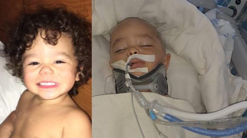 GoFundMe Page Set Up For WF Child Attacked By Dog