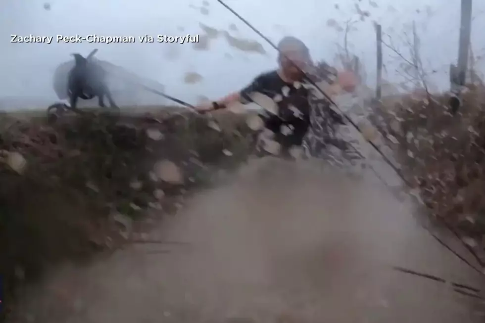 Watch: Did A Couple and Their Dogs Survive a Tornado by Diving into a Ditch?