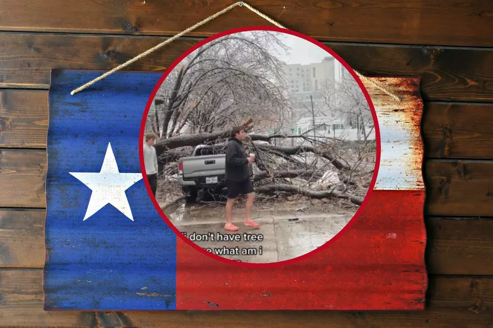 Dang! Tree Falls on Pink Croc-Wearing Fella&#8217;s Truck in Austin, Texas