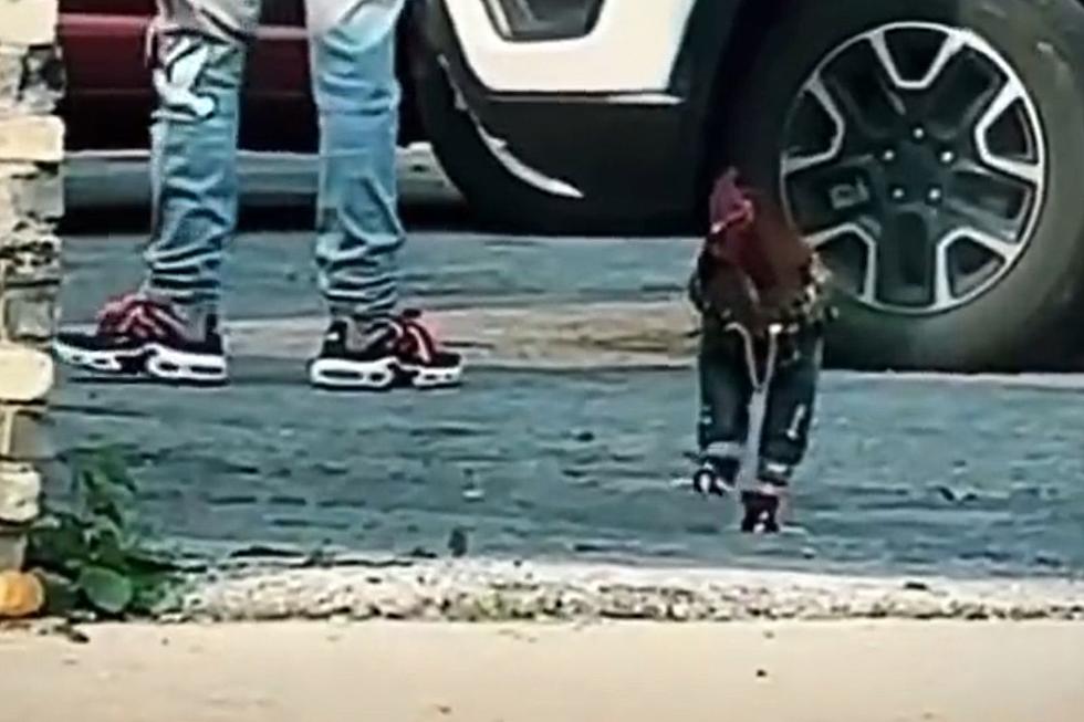 Clothed Rooster Spotted at Texas Coffee Shop