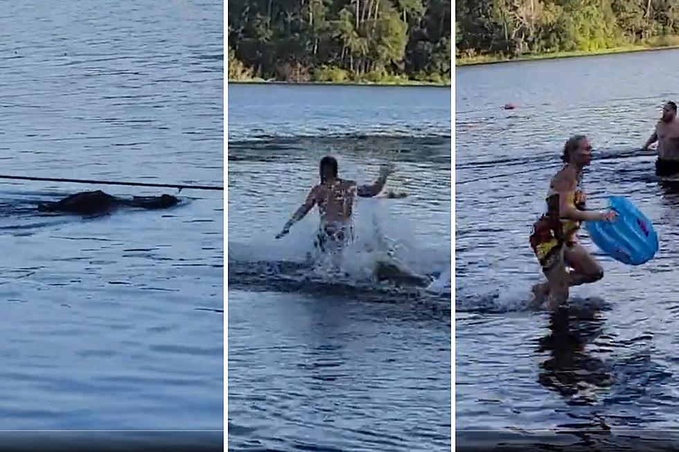 Alligator Appears to Take Aim at Children Swimming in Texas Lake