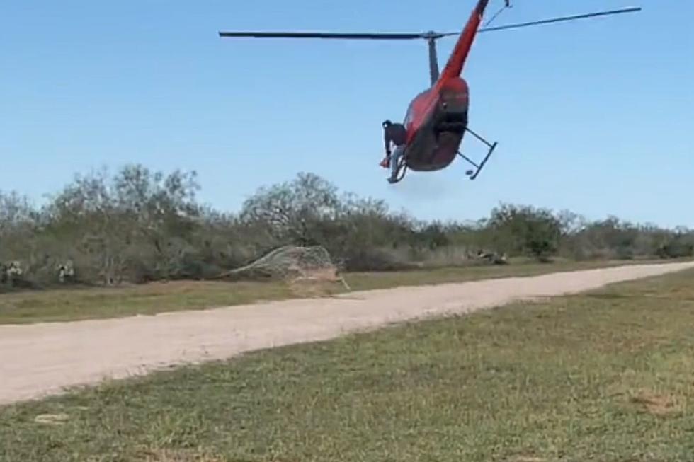Texas Hunters’ Insane Deer Capture! Helicopter Pilot’s Mind-Blowing Skills