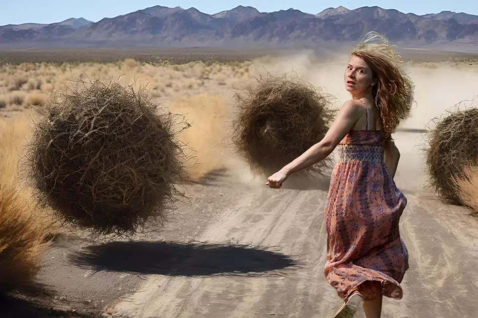 Could Texas Use Tumbleweeds to Defend it&#8217;s Borders?