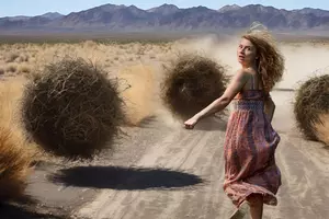 Could Texas Use Tumbleweeds to Defend it’s Borders?