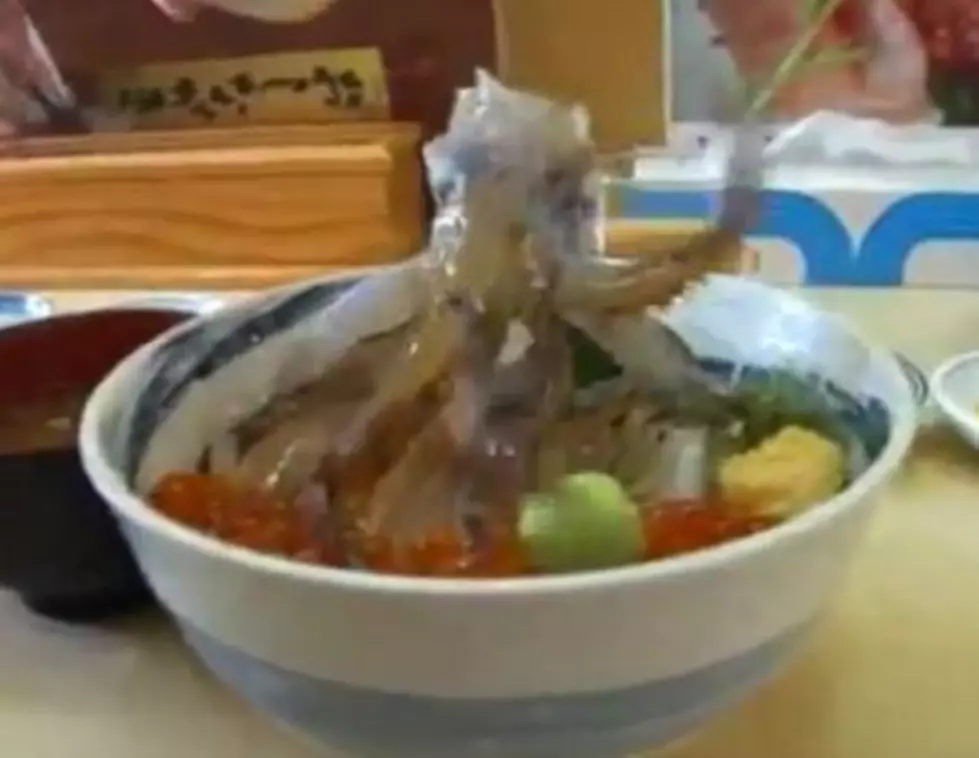 Dancing Squid. It’s Food, Not Fun [VIDEO]