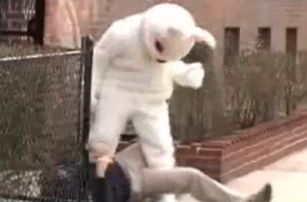 The Easter Bunny – Kicking Ass [VIDEO]